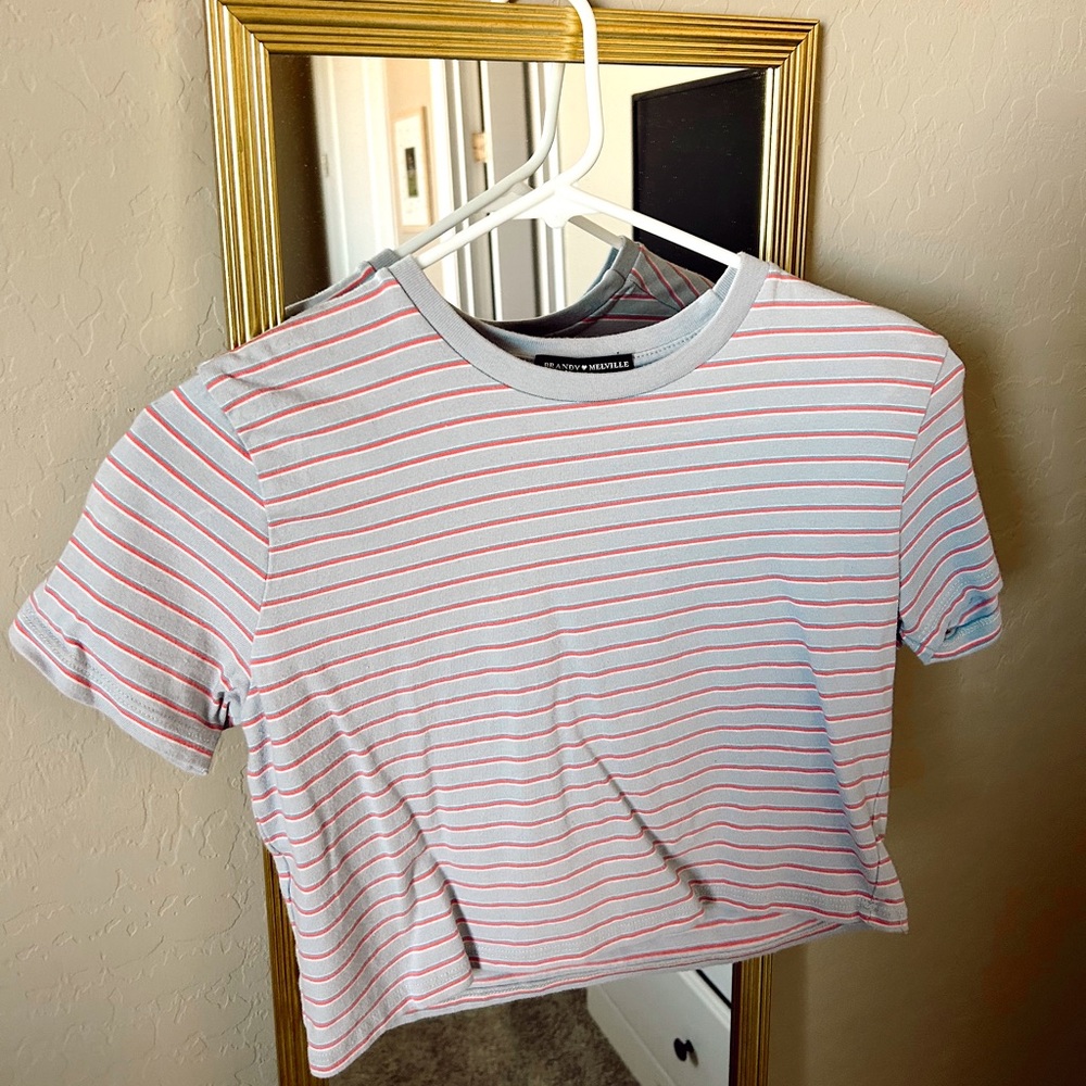 Brandy Melville Striped Crop Top